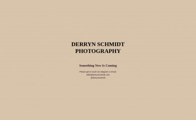 derrynschmidt.com screenshot