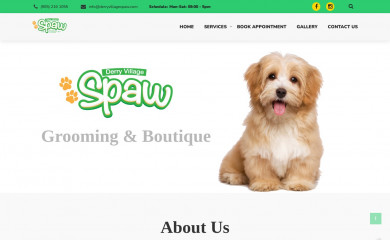 derryvillagespaw.com screenshot