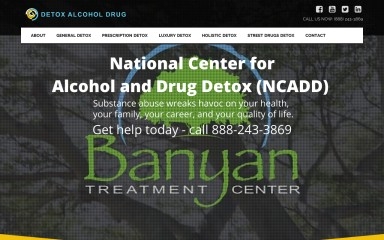 detoxalcoholdrug.org screenshot