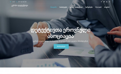 detective.ge screenshot