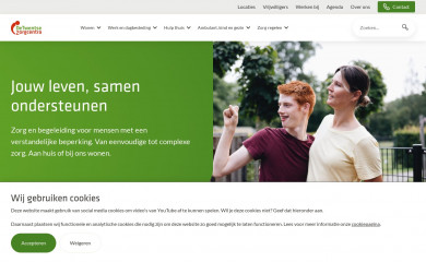 detwentsezorgcentra.nl screenshot