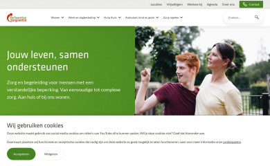 detwentsezorgcentra.nl screenshot