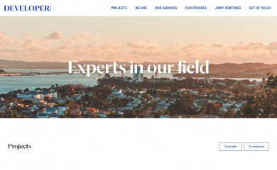 developer.org.nz screenshot