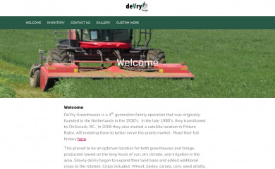 devryforages.com screenshot