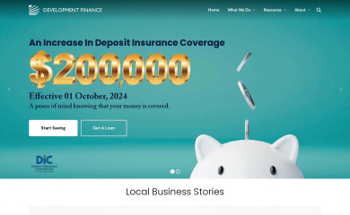 dflbusiness.com screenshot