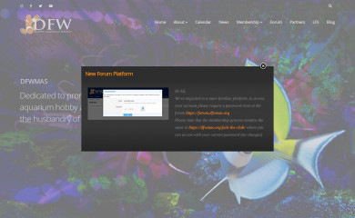 dfwmas.org screenshot