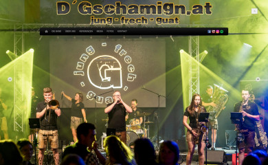 dgschamign.at screenshot