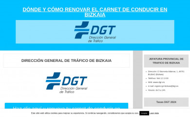 dgt-jefatura-de-trafico-bizkaia.com screenshot