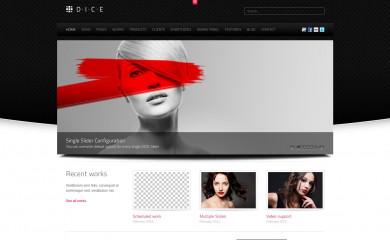 DICE WordPress Theme screenshot