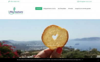 dia-tours.com screenshot