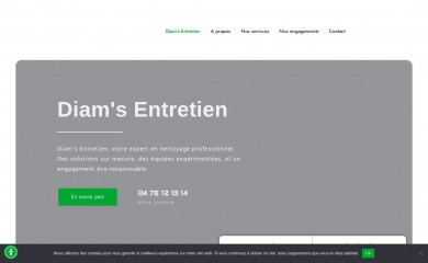 diams-entretien.fr screenshot