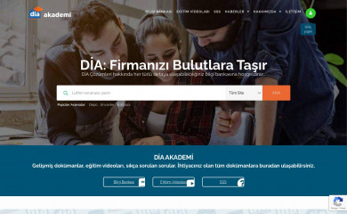 diaakademi.com screenshot