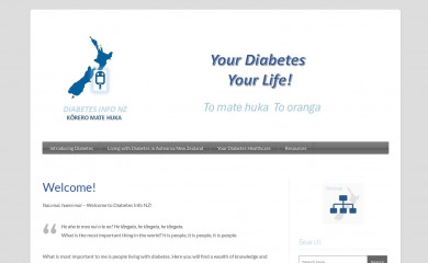 diabetesinfo.org.nz screenshot
