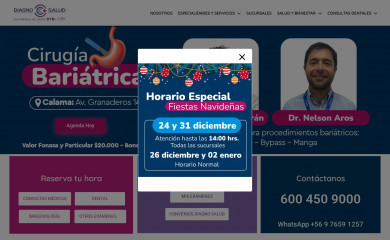 diagno.cl screenshot