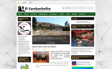 diarioelcombarbalito.cl screenshot