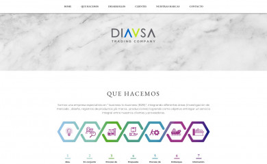 diavsa.cl screenshot
