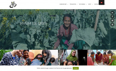 dib.dk screenshot
