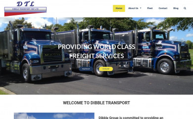 dibbletransport.co.nz screenshot