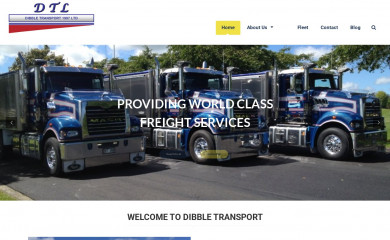 dibbletransport.co.nz screenshot