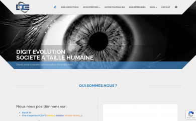 digit-evolution.com screenshot