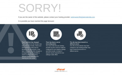 digitalcinderella.com screenshot
