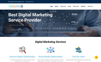 digitalmarkethubs.com screenshot