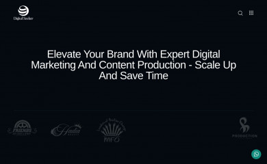digitalseeker.com.au screenshot