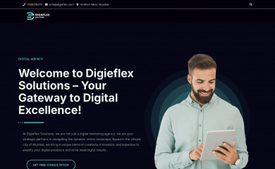 digieflex.com screenshot