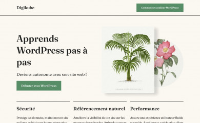 digikube.fr screenshot