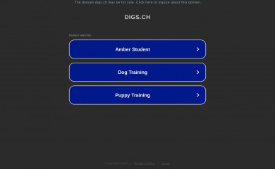 digs.ch screenshot