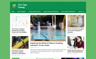 diemdigitalmarketing.com.au screenshot