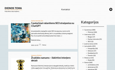dienostema.lt screenshot
