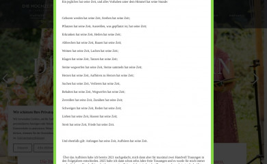 diehochzeiterin.com screenshot