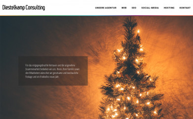 http://www.diestelkamp-consulting.de screenshot