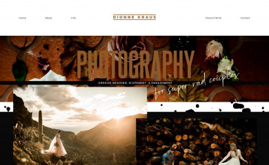 dionnekrausphotography.com screenshot