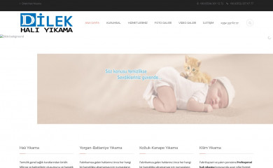 dilekhaliyikama.com.tr screenshot