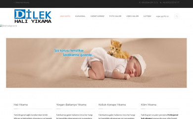 dilekhaliyikama.com.tr screenshot