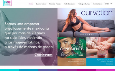 diltexbrands.com screenshot