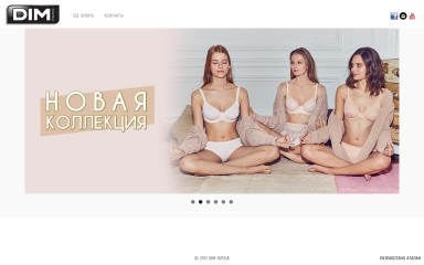 http://dim.ru screenshot