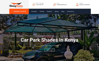 disneyshades.co.ke screenshot