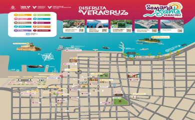 disfrutaveracruz.mx screenshot