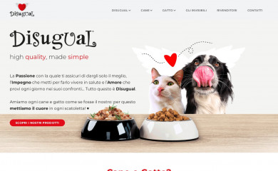 disugual.pl screenshot