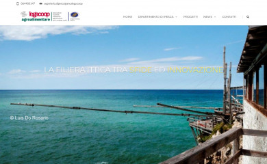 dipartimentopesca.it screenshot
