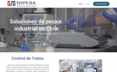 dipesa.cl screenshot