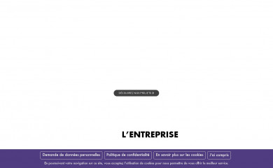 directetorg-go.fr screenshot