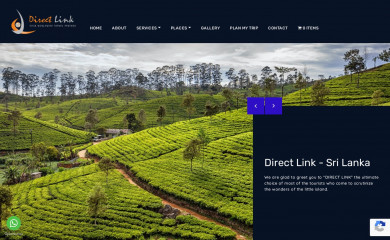 directlink.lk screenshot