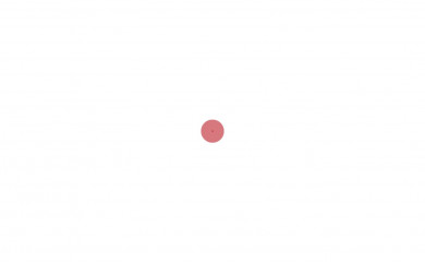 ditfelgi.pl screenshot