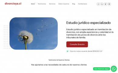 divorcioya.cl screenshot
