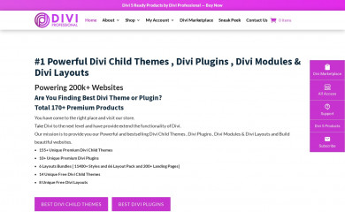 http://divi-professional.com/ screenshot