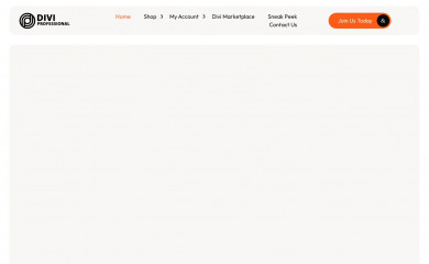 http://divi-professional.com/ screenshot